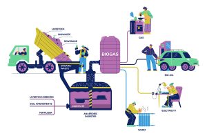 Biogas division diagram with digester generating gas fuel from waste and livestock. Natural renewable resources, flat vector illustration isolated on white background.